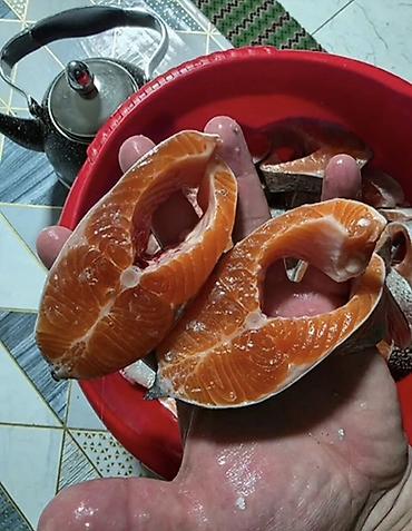 форель мольки: Мелкий ОПТ и Крупный опт ТОКМОК ОТПРАВКА В РЕГИОНЫ !!! Форель — 3