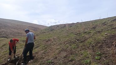 Услуги портера: Заказать Самосвал, Доставка щебня, угля, песка, чернозема, отсев — 10