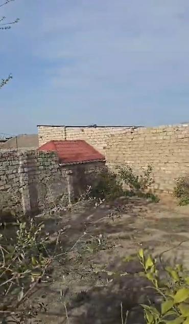 zabratda: 8 sot, Tikinti, Kupça (Çıxarış) — 1