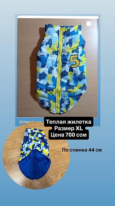 Зоотовары: Одежда для кошек и собак. Все НОВОЕ РАЗМЕР И ЦЕНА УКАЗАНЫ НА ФОТО — 30