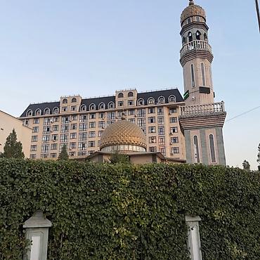 property: 1 комната, 45 м², Ак-Орго ж/м Элитка, 9 этаж, ПСО (под самоотделку) — 5