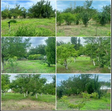 Bağ evlərinin satışı: Sumqayıt, 150 kv. m, 5 otaqlı, Hovuzlu, Kanalizasiya, Qaz, Su — 11