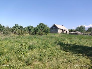 5: 🏡 Продаётся дом с большим участком и плодоносящим садом в селе — 9
