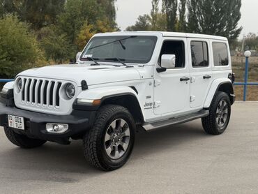 грузовой кондиционер: Jeep Wrangler: 2019 г., 2 л, Автомат, Бензин, Внедорожник