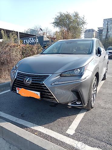 rx 450h: Lexus NX: 2020 г., 2.5 л, Вариатор, Гибрид, Кроссовер — 1