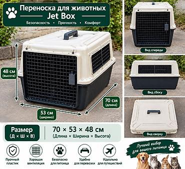 колосья: 🐾✈️ Путешествуете? Не оставляйте своего питомца дома! Берите любимца — 2