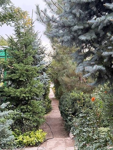 Продажа участков: 13 соток, Для строительства, Красная книга — 4