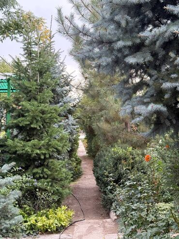 участок земля в селе воронцовке: 13 соток, Курулуш, Сатып алуу-сатуу келишими, Техпаспорт