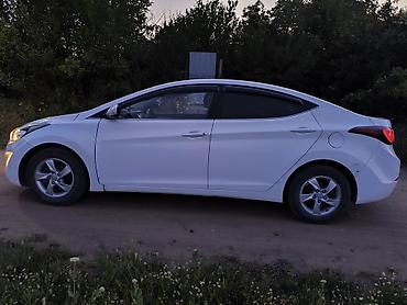 продам кару: Hyundai Avante: 2015 г., 1.6 л, Автомат, Бензин, Седан — 4