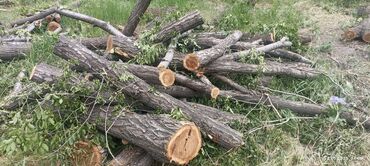 Дрова: Дрова Карагач, Самовывоз — 12