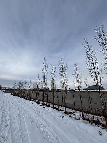 Продажа участков: 5 соток, Для строительства, Красная книга — 6