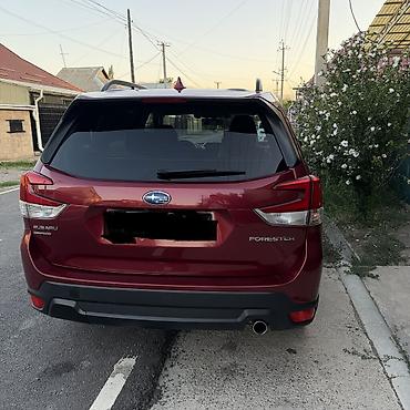 Subaru: Subaru Forester: 2021 г., 2.5 л, Вариатор, Бензин, Кроссовер — 2