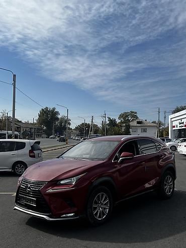 bmw m2: Lexus NX: 2017 г., 2 л, Автомат, Бензин, Кроссовер — 10