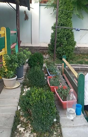 Продажа домов: Дом, 440 м², 8 комнат, Агентство недвижимости, Евроремонт — 2