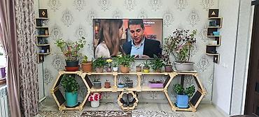 купить прихожку: Модульная деревянная система полок «Соты» - Геометрия: шестигранные — 6