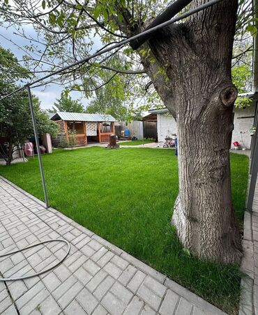 услуги художника: 🌿 Газон. 🌿Посев Газона. 🌿Сеем Газон. 🌿 Ландшафтный дизайн. 🌿