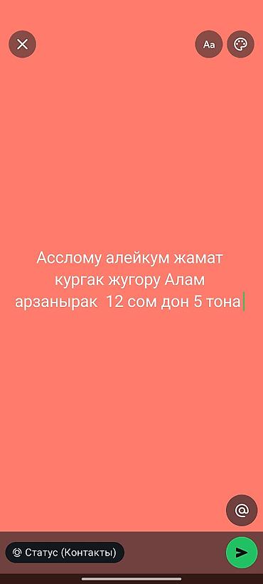 древесный уголь: Дрова Тополь — 1
