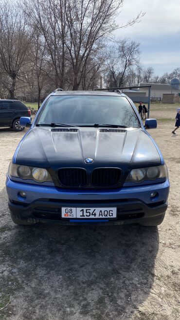 бу рейлинги: BMW X5: 2003 г., 3 л, Автомат, Дизель, Внедорожник