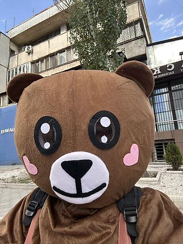 Киреге берилүүчү кийимдер: Карнавалдык костюм, Жаныбар, Аюу — 2