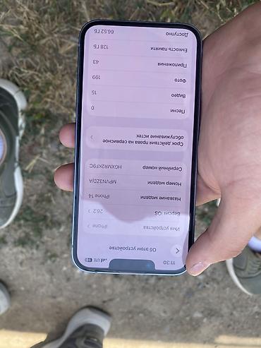 Apple iPhone: IPhone 13, Синий, 88 % — 5