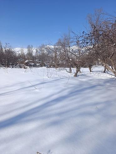 Продажа участков: 44 соток — 4