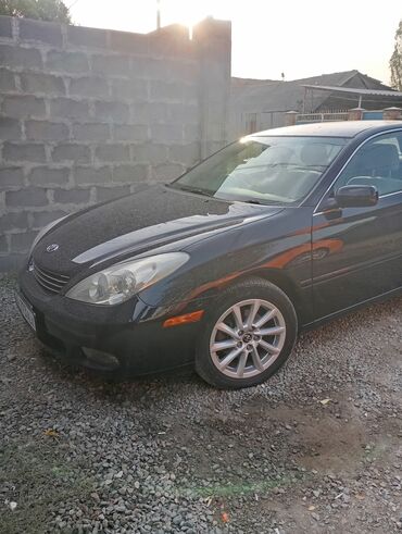 чехол на камри: Toyota Windom: 2004 г.