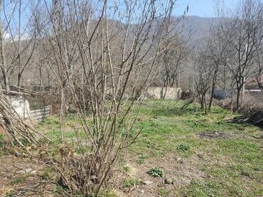 Torpaq sahələrinin satışı: 10 sot, Tikinti, Barter mümkündür, Kupça (Çıxarış) -da lalafo.az — 12 Torpaq sahələrinin satışı: 10 sot, Tikinti, Barter mümkündür, Kupça (Çıxarış) — 12