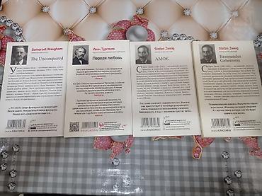 oğlan cantası: “Mini Klassika” seriyasından 4 kitab dəsti (rus dilində) - Somerset — 2
