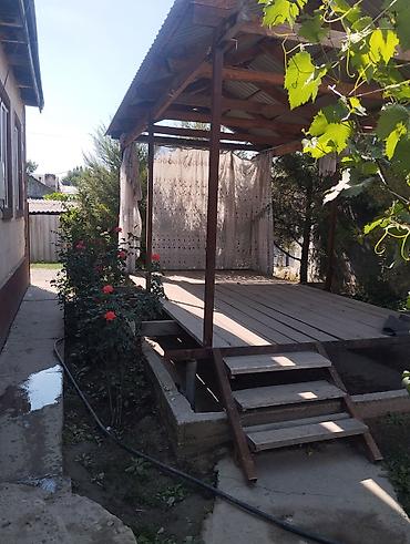 Ковры и паласы: Срочно продаю 🏡 11*14 участок 12.60сотка сарай 15*5 - Большие — 11