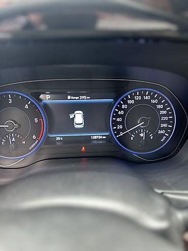 palisade: Hyundai Palisade: 2019 г., 2.4 л, Автомат, Дизель, Кроссовер — 10