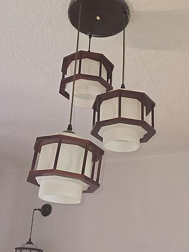 Накопительные водонагреватели: Переноска для животных + электрический водонагреватель (бойлер) 1) — 24