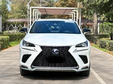 кузов зил коротыш: Lexus NX: 2020 г., 2.5 л, Автомат, Бензин, Кроссовер