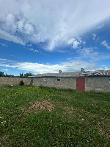 4 otaqlı kiraye evler: 20 sot, Kənd təsərrüfatı, Mülkiyyətçi, Kupça (Çıxarış) — 5