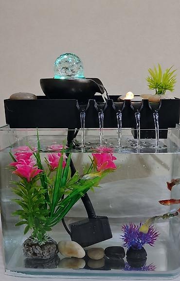 морской аквариум: Декоративные фонтаны — 1