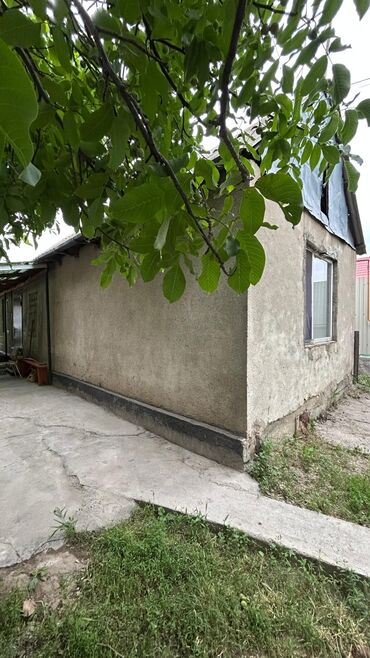 продаю дом в бишкек: Үй, 50 кв. м, 3 бөлмө, Кыймылсыз мүлк агенттиги