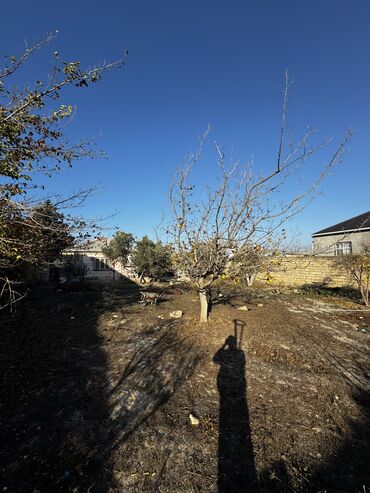 Həyət evləri və villaların satışı: Fatmayı 4 otaqlı, 100 kv. m, Kredit yoxdur, Orta təmir -da lalafo.az — 12 Həyət evləri və villaların satışı: Fatmayı 4 otaqlı, 100 kv. m, Kredit yoxdur, Orta təmir — 12