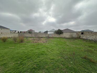 Torpaq sahələrinin satışı: 7 sot, Tikinti, Mülkiyyətçi, Bələdiyyə, Kupça (Çıxarış) -da lalafo.az — 7 Torpaq sahələrinin satışı: 7 sot, Tikinti, Mülkiyyətçi, Bələdiyyə, Kupça (Çıxarış) — 7