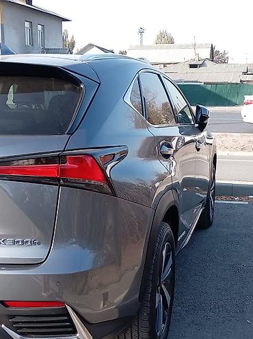 rx 450h: Lexus NX: 2020 г., 2.5 л, Вариатор, Гибрид, Кроссовер — 5