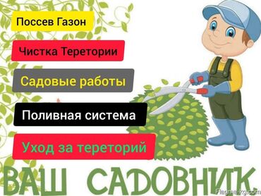 работа в выходные: Опытный Садовник. Приходящий Опытный Садовник Работал в городском at lalafo.kg работа в выходные: Опытный Садовник. Приходящий Опытный Садовник Работал в городском