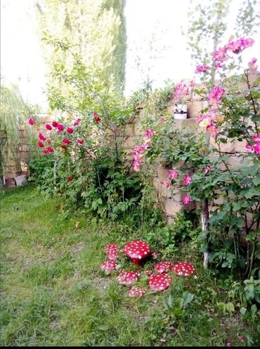 Günlük kirayə evlər: 90 kv. m, 3 otaqlı, İnternet, Telefon, Qaz — 14