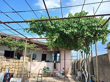 ev və bağ: Nardaran qəs. 3 otaqlı, 3 kv. m, Kredit yoxdur, Orta təmir — 8