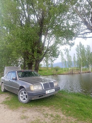 орел фронтеро: Mercedes-Benz W124: 1991 г., 2.3 л, Механика, Дизель, Седан — 4