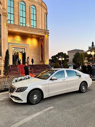 Günlük, Mercedes, Depozitsiz