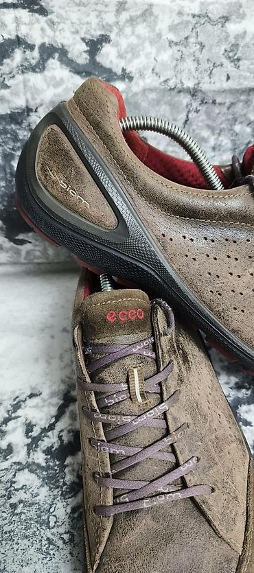 кроссовки: Кожаные кроссовки Датского бренда ECCO ., Размер 43 — 7
