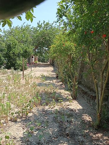 qusarda yer satilir: 6 sot, Tikinti, Makler, Kupça (Çıxarış) — 10