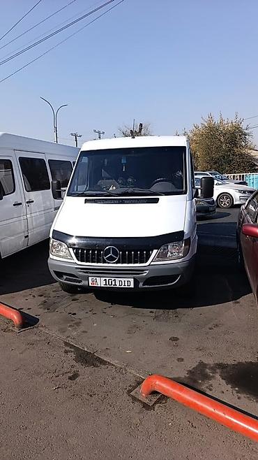 sprinter 516: Легкий грузовик, Mercedes-Benz, Стандарт, Б/у — 9