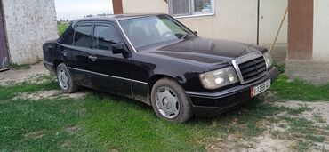 Mercedes-Benz: Mercedes-Benz 220: 1990 г., 2.3 л, Механика, Бензин, Седан
