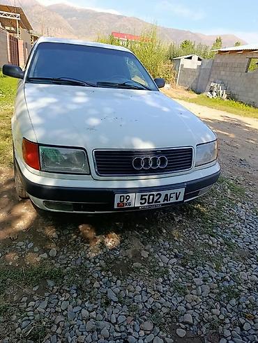 Audi 100: 1993 г., Седан