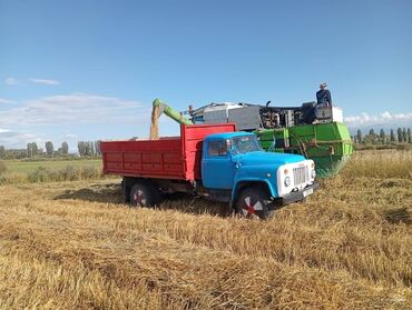 ГАЗ: ГАЗ : 1989 г., 4.2 л, Механика, Бензиновая, Пикап — 2