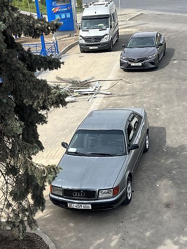 решетка на ауди: Audi 100: 1993 г., 2.6 л, Механика, Бензин, Седан — 4
